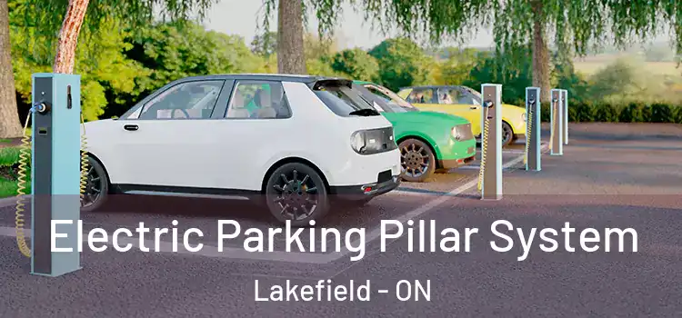Electric Parking Pillar System Lakefield - ON