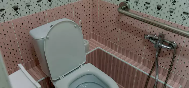 Meeting Diverse Needs With Accessible Restroom Solutions in Lakefield, ON